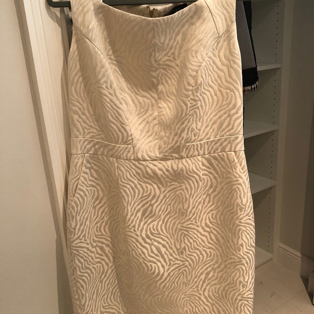 Ellen Tracy Dress New